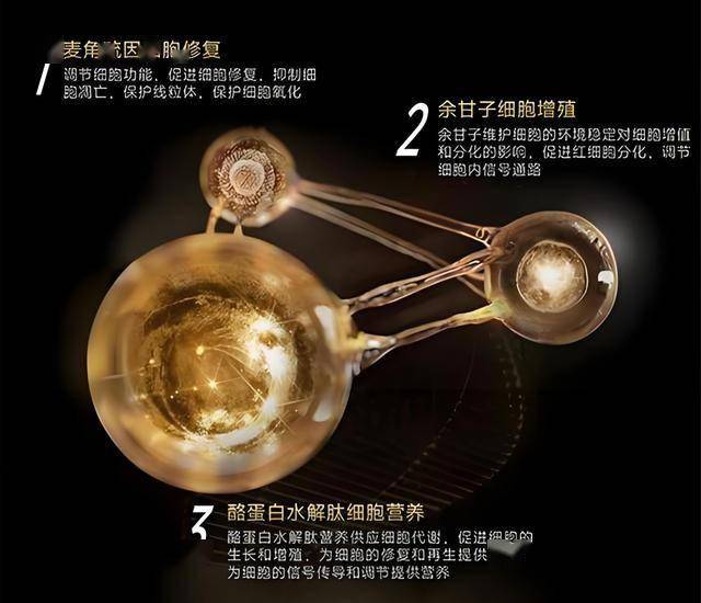 星光路、胜利街雨水管网改造工程加快推动